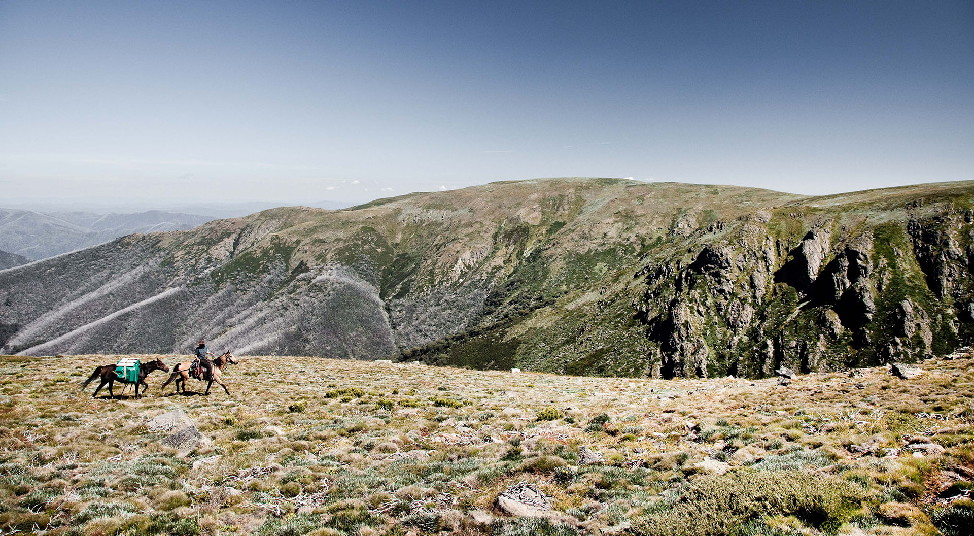 Pack Horse on Mount Bogong